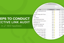Backlink audit for evaluating SEO link quality