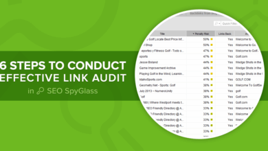 Backlink audit for evaluating SEO link quality