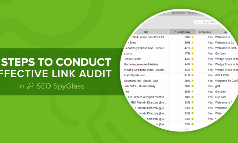 Backlink audit for evaluating SEO link quality